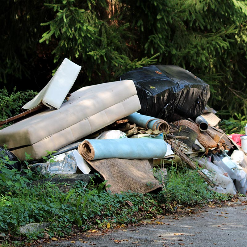 dumpsite on county road